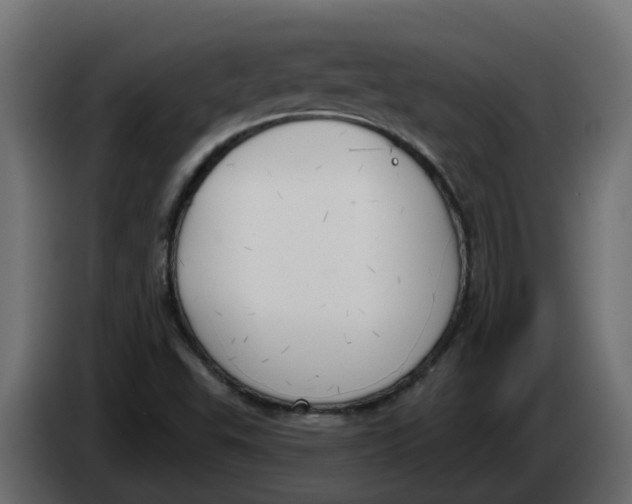X0000083591503200703021829