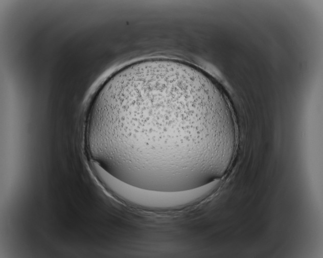 X0000083591504200703021829