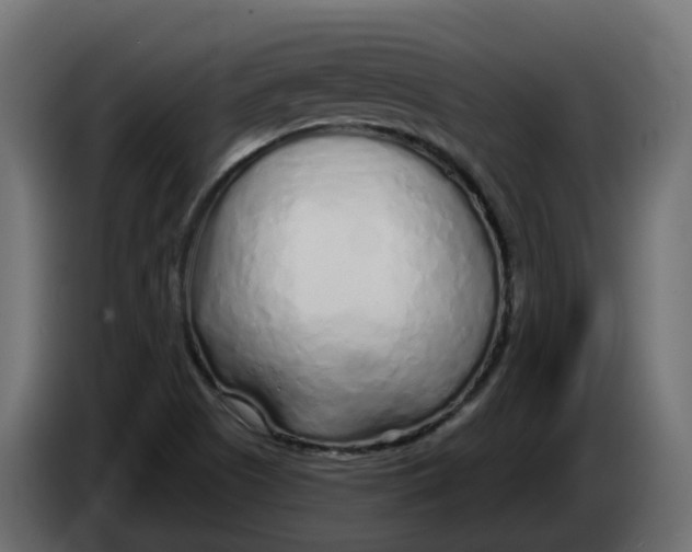 X0000083591505200703021829