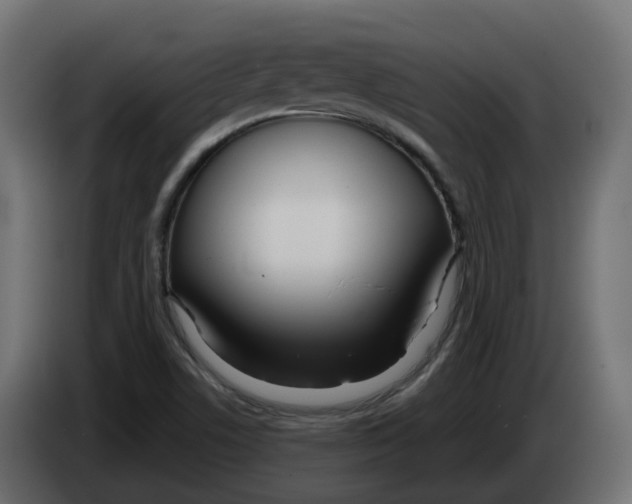 X0000083591506200703021829