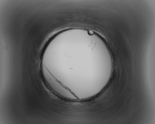 X0000083591507200703021829