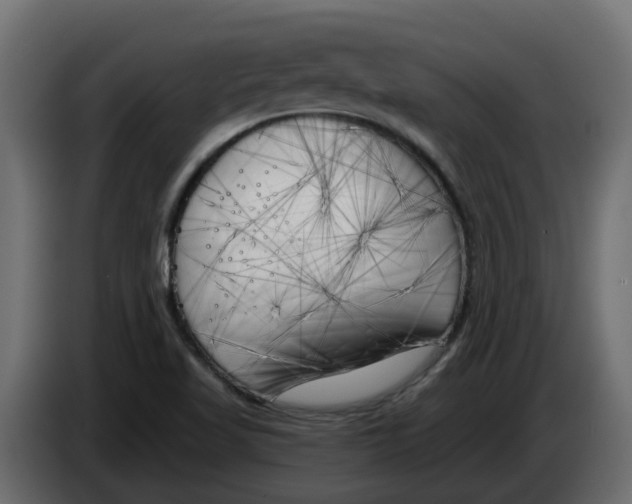 X0000083591509200703021829
