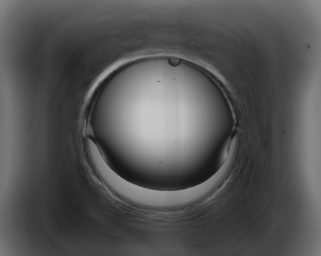 X0000083591510200703021829