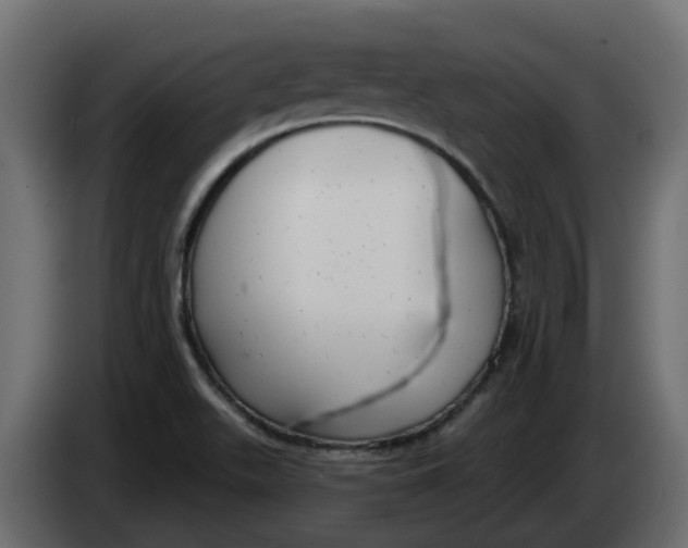 X0000083591511200703021829