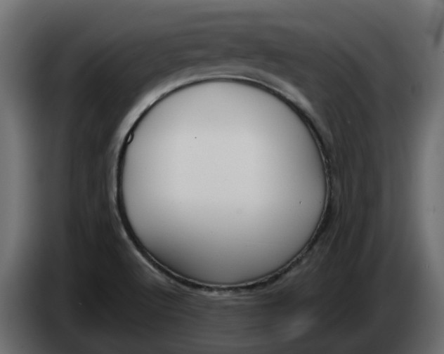 X0000083591512200703021829