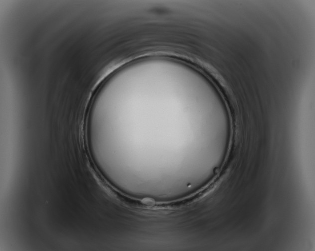 X0000083591513200703021829