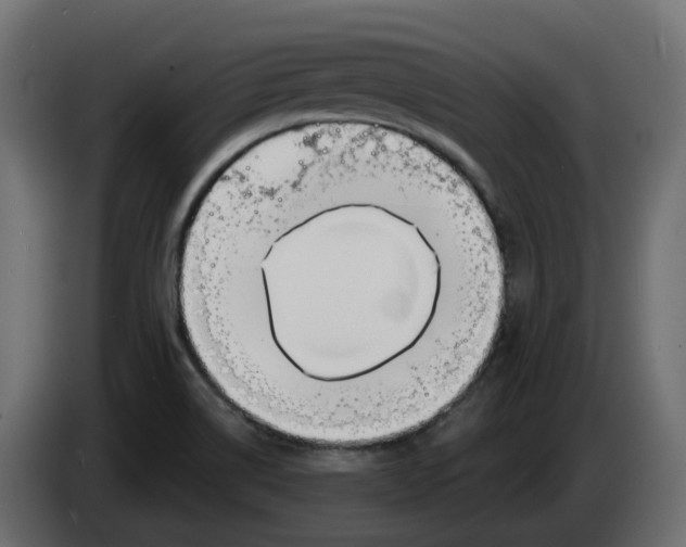 X0000083591514200703021830