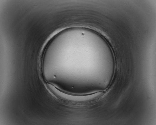 X0000083591517200703021830