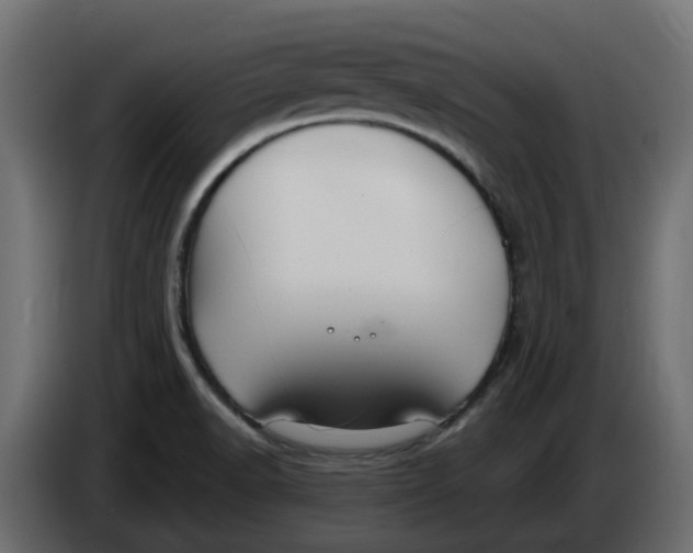 X0000083591518200703021830