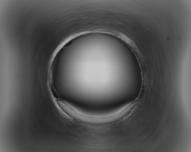 X0000083591520200703021830