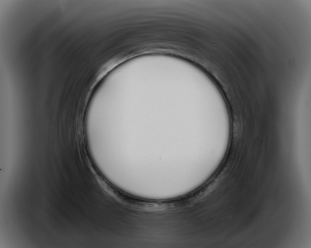 X0000083591521200703021830
