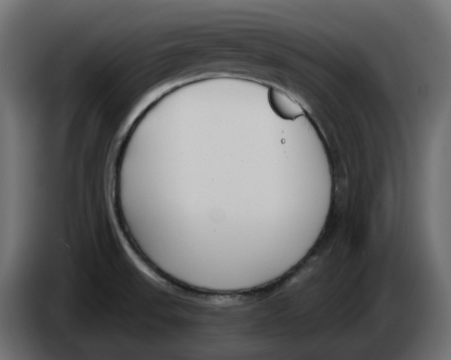 X0000083591523200703021830