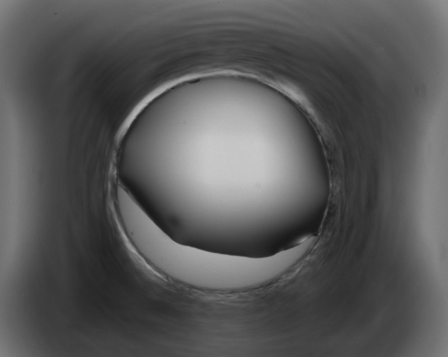 X0000083591524200703021830