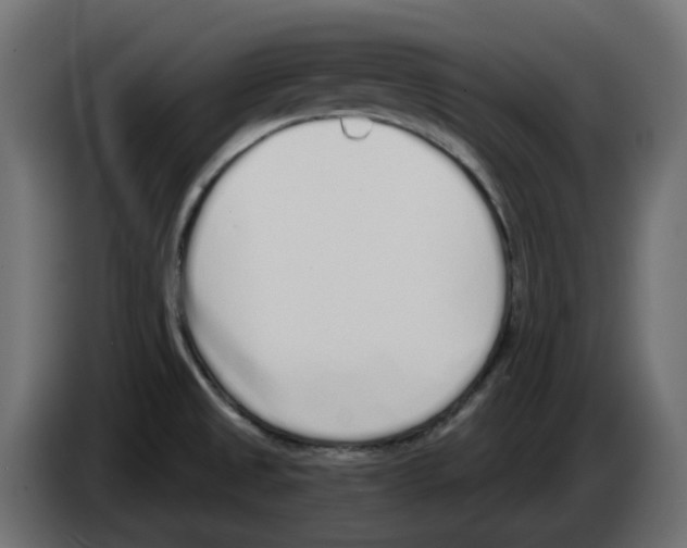 X0000083591525200703021830