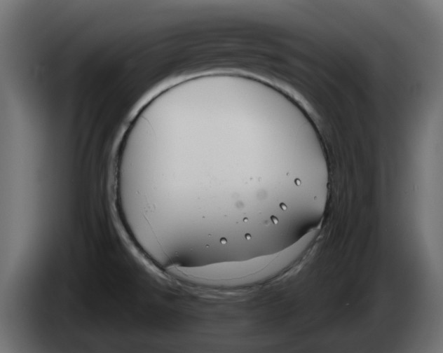 X0000083591526200703021830