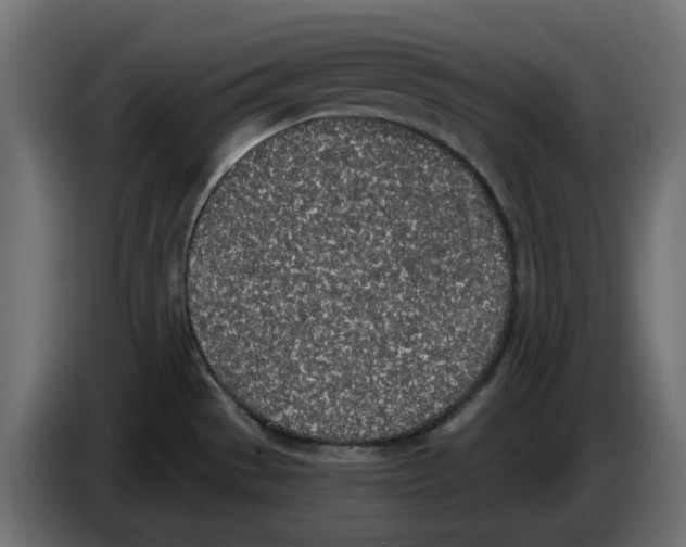 X0000083591529200703021830