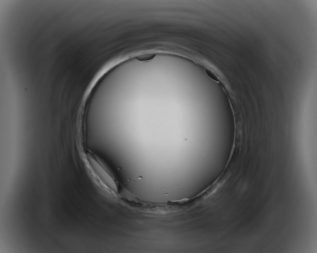 X0000083591530200703021830