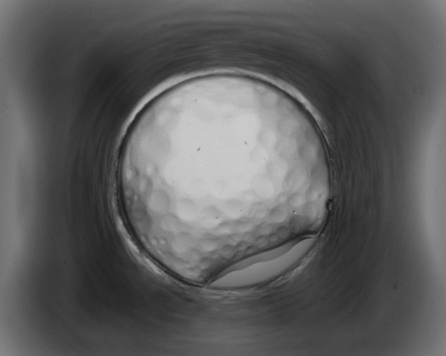 X0000083591534200703021830