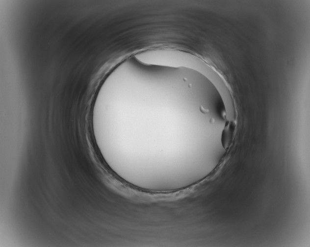X0000083590001200703091729