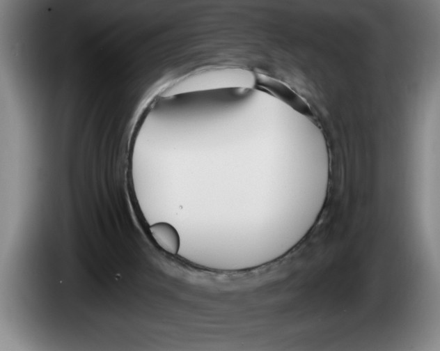 X0000083590003200703091729