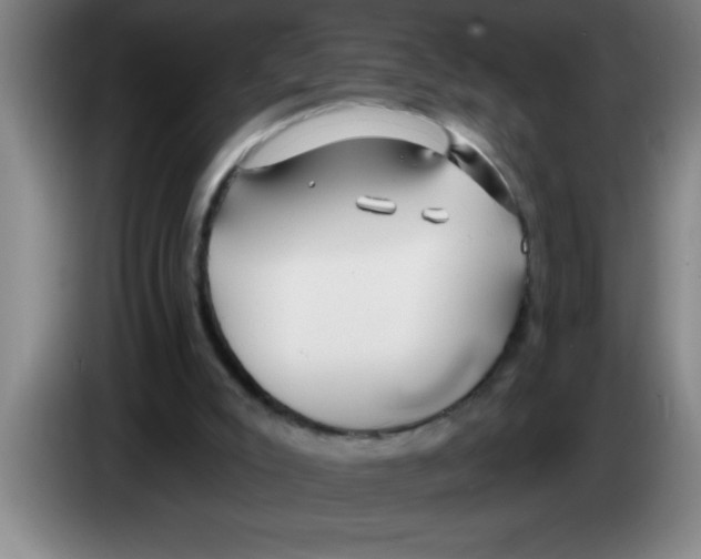 X0000083590007200703091729
