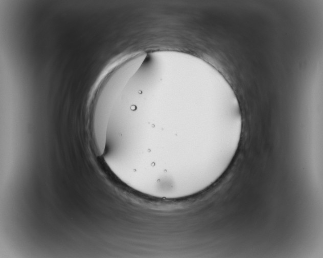 X0000083590008200703091729