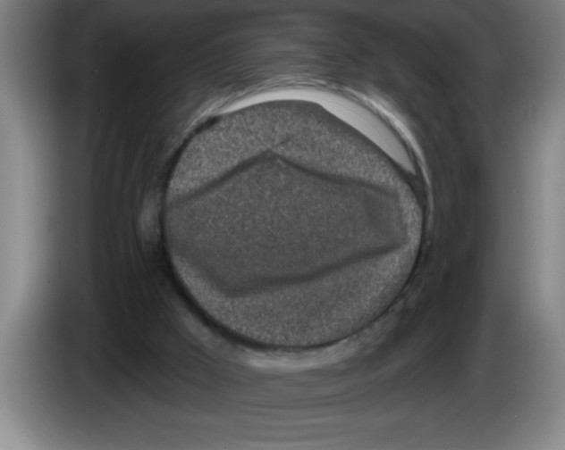 X0000083590009200703091729