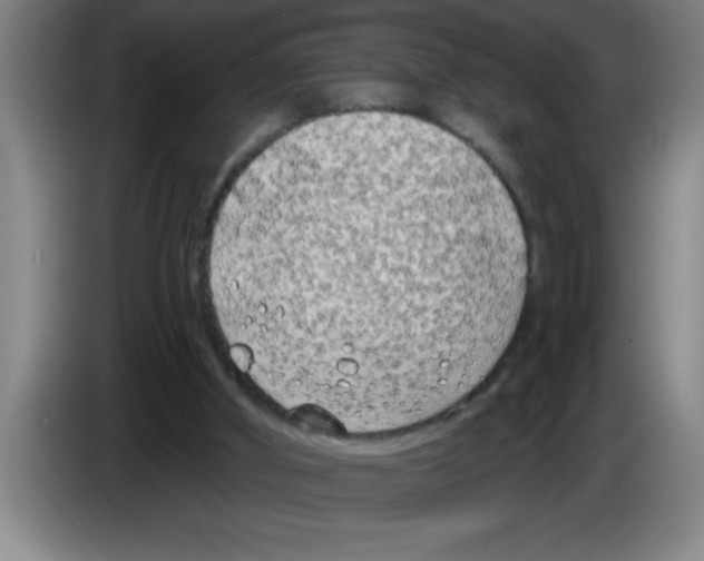 X0000083590010200703091729