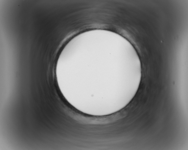 X0000083590011200703091729