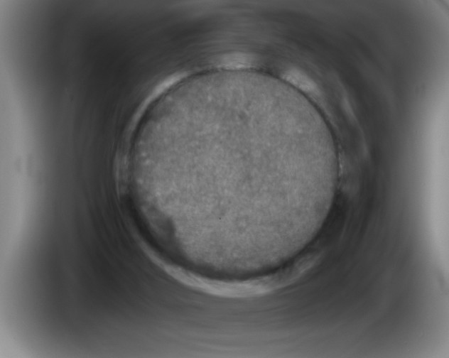 X0000083590012200703091729