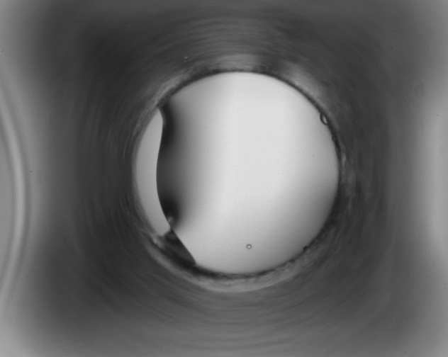 X0000083590013200703091729