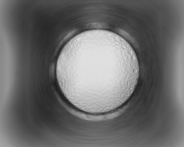 X0000083590014200703091729