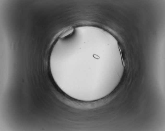 X0000083590015200703091729