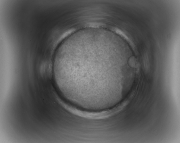 X0000083590016200703091729