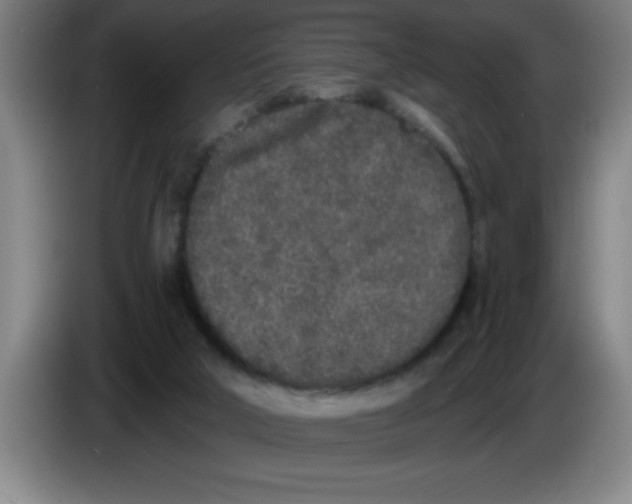 X0000083590018200703091729