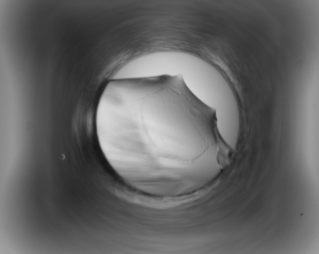X0000083590019200703091729