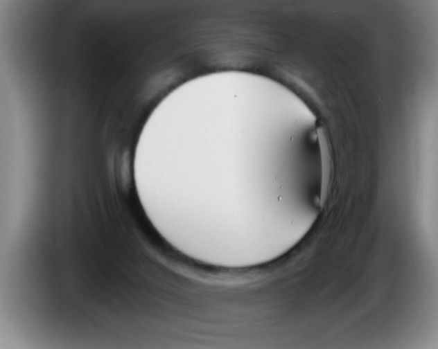 X0000083590020200703091729