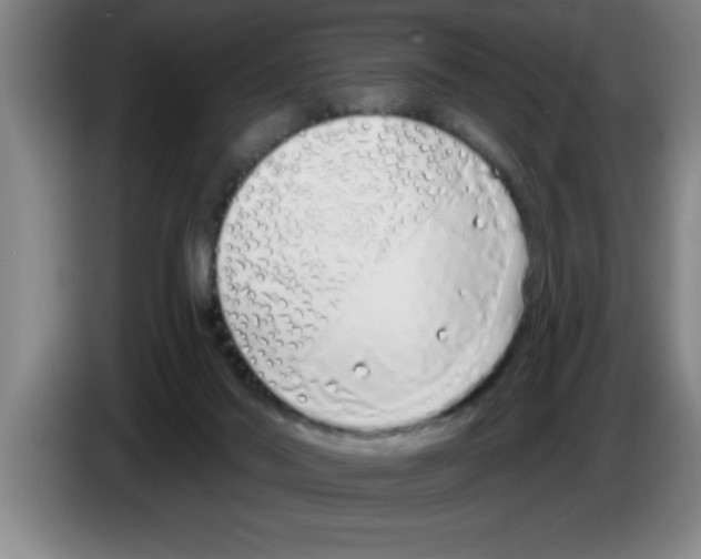 X0000083590022200703091729