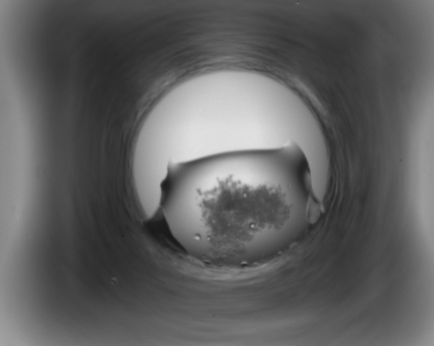 X0000083590023200703091729