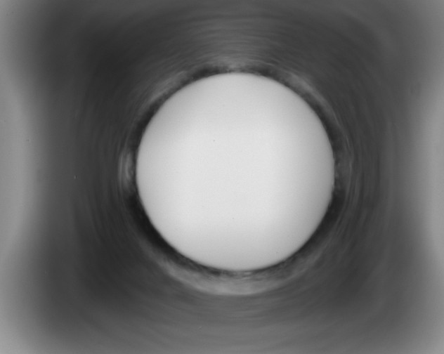 X0000083590024200703091729