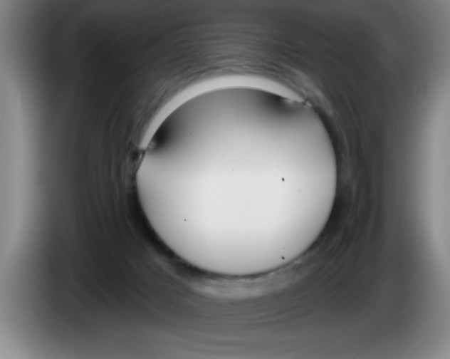 X0000083590025200703091729