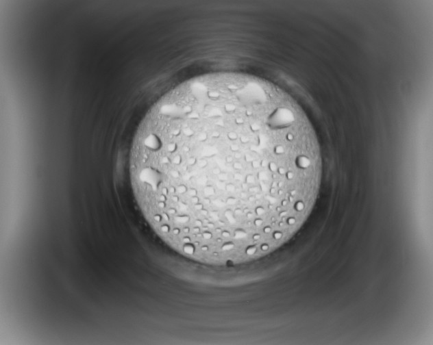 X0000083590026200703091729