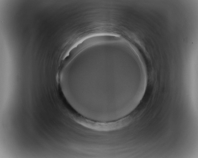 X0000083590027200703091729