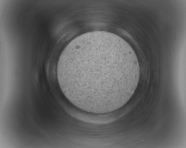 X0000083590028200703091729