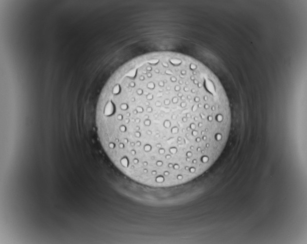 X0000083590030200703091729