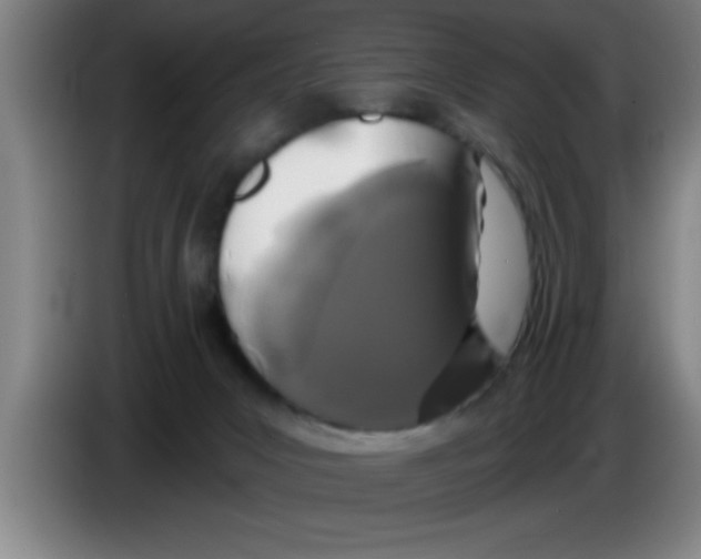 X0000083590031200703091729