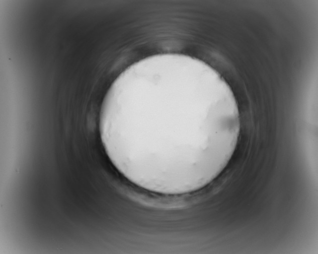X0000083590032200703091729
