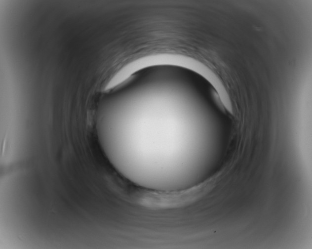 X0000083590033200703091729