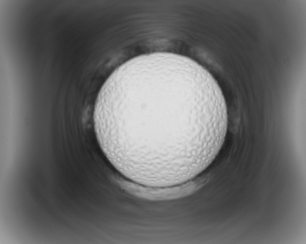 X0000083590034200703091729