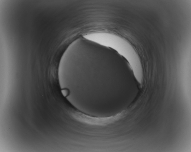 X0000083590035200703091729